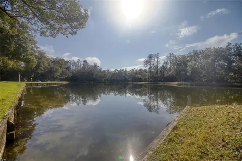 3134 Lake Pine Way Tarpon Springs FL 34688