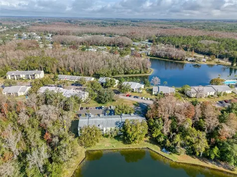 3134 Lake Pine Way Tarpon Springs FL 34688