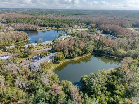 3134 Lake Pine Way Tarpon Springs FL 34688