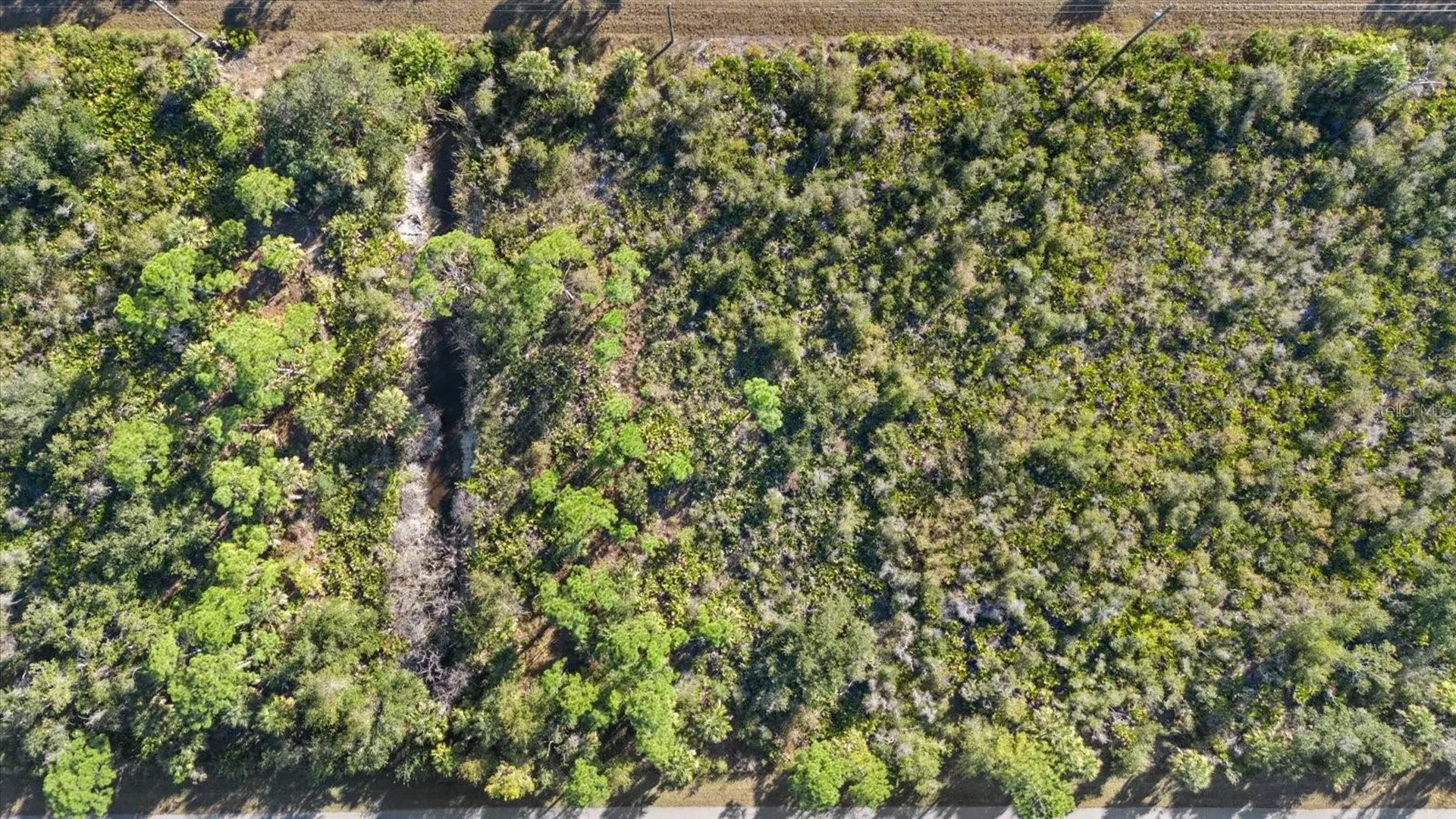 14113 Hydrangea Avenue Port Charlotte FL 33953
