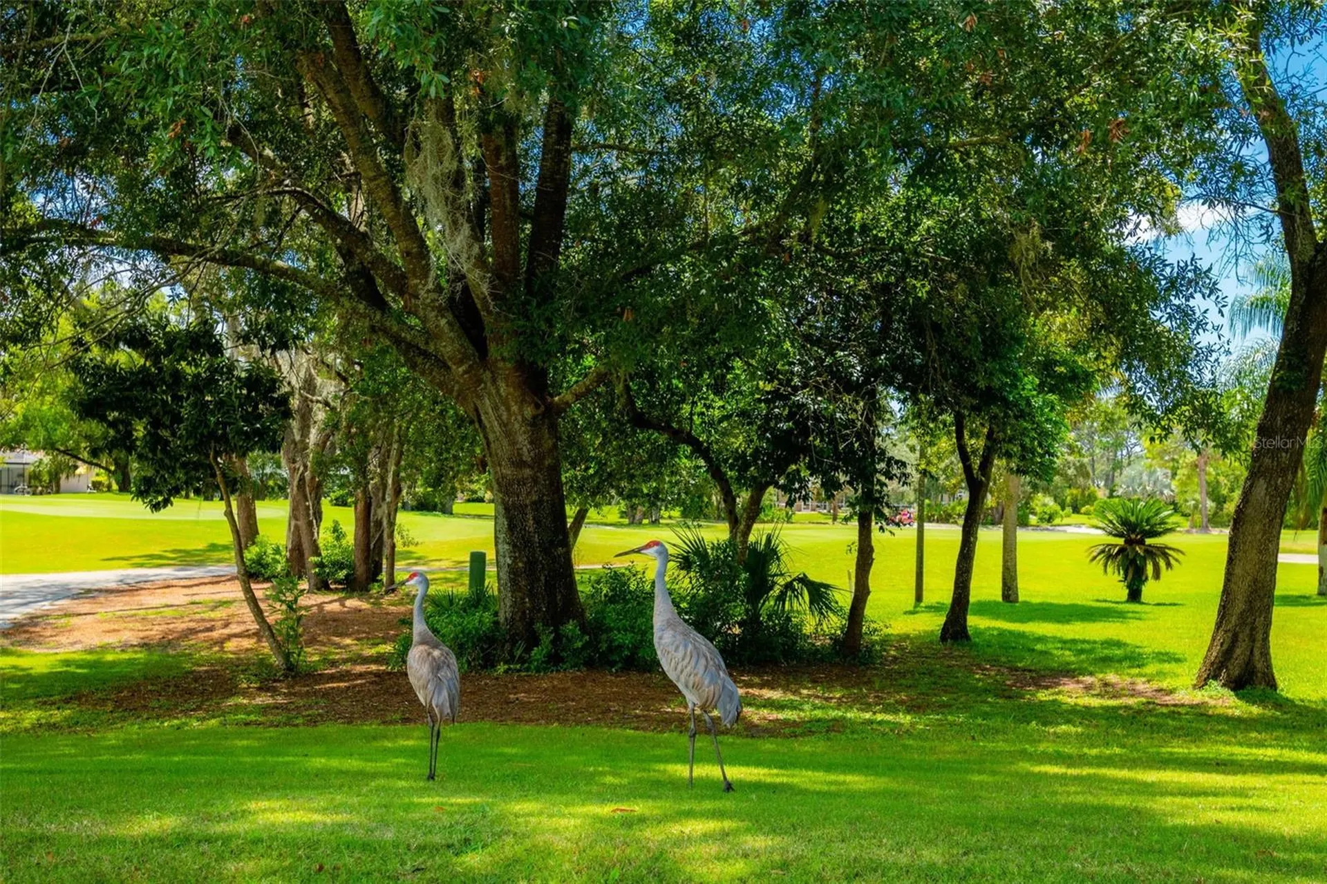 10148 Duffy Circle Weeki Wachee FL 34613