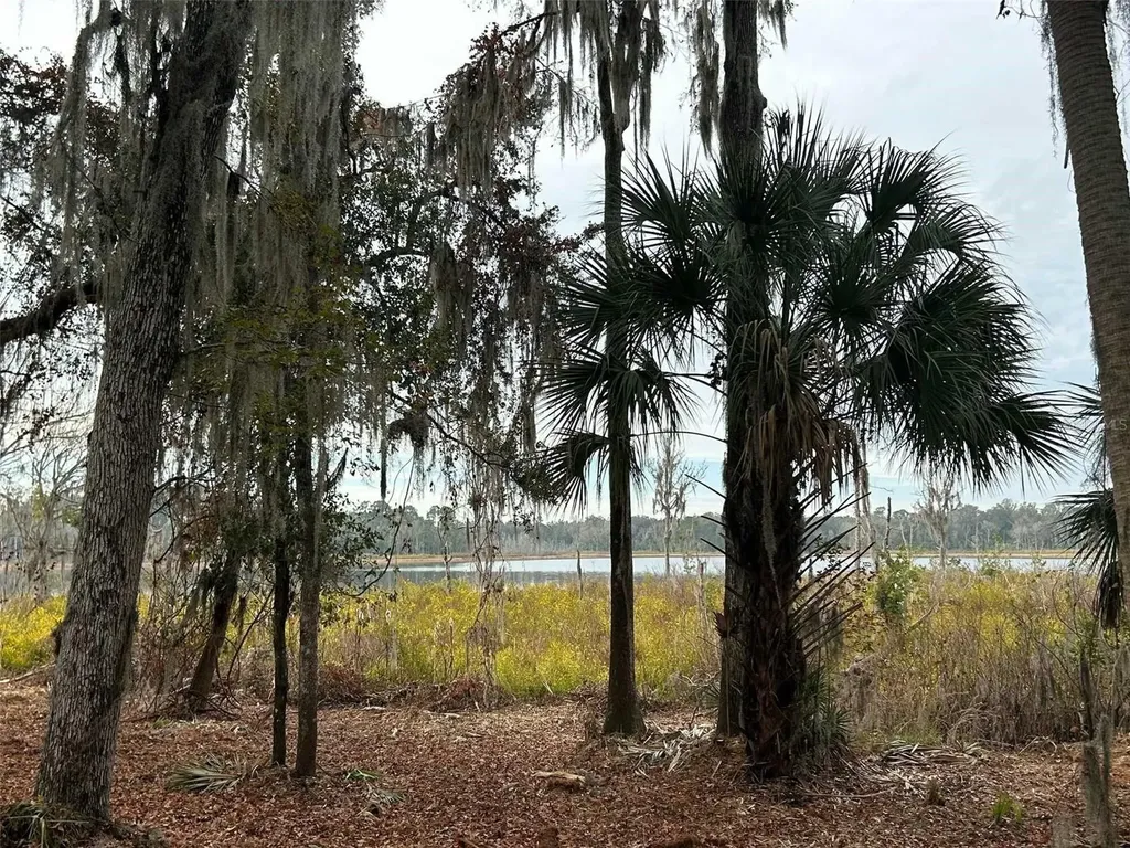 Faye Street Hawthorne FL 32640