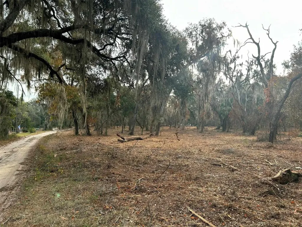 Faye Street Hawthorne FL 32640