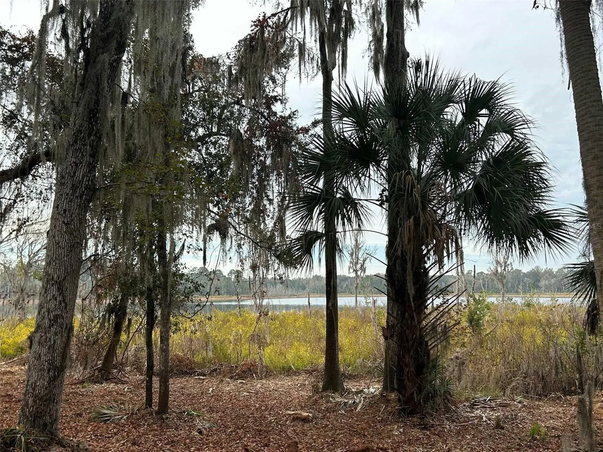 Faye Street Hawthorne FL 32640