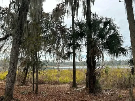 Faye Street Hawthorne FL 32640
