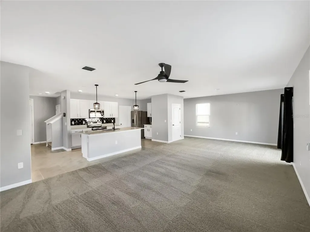 3013 Tansy Street Tavares FL 32778