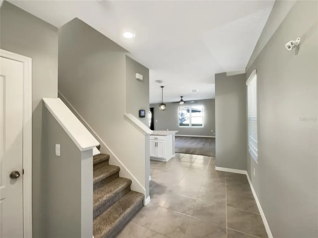 3013 Tansy Street Tavares FL 32778