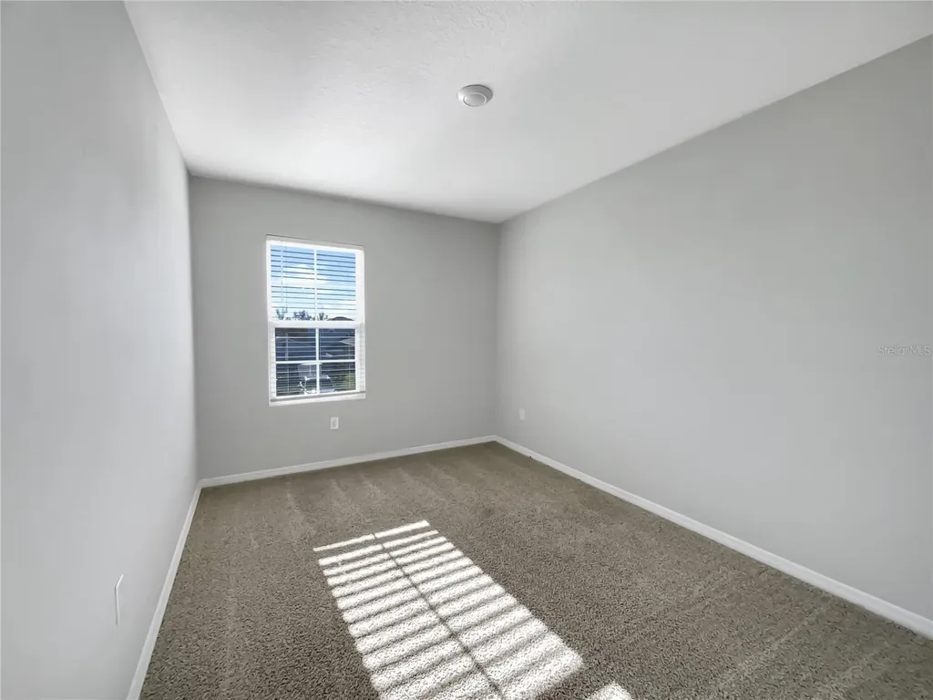 3013 Tansy Street Tavares FL 32778