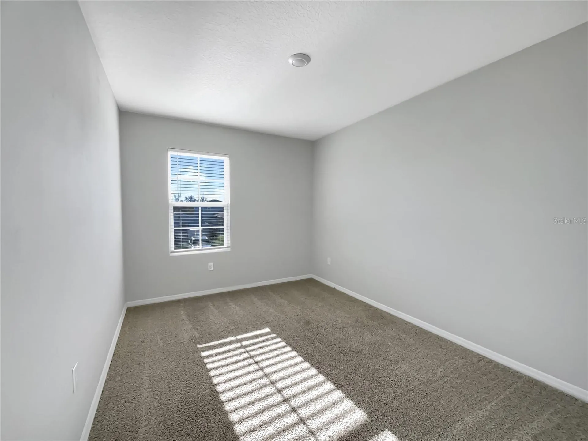 3013 Tansy Street Tavares FL 32778