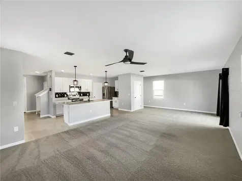 3013 Tansy Street Tavares FL 32778