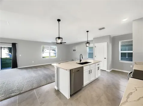 3013 Tansy Street Tavares FL 32778