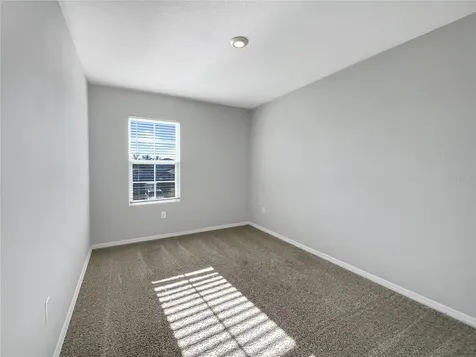 3013 Tansy Street Tavares FL 32778