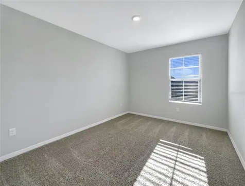 3013 Tansy Street Tavares FL 32778
