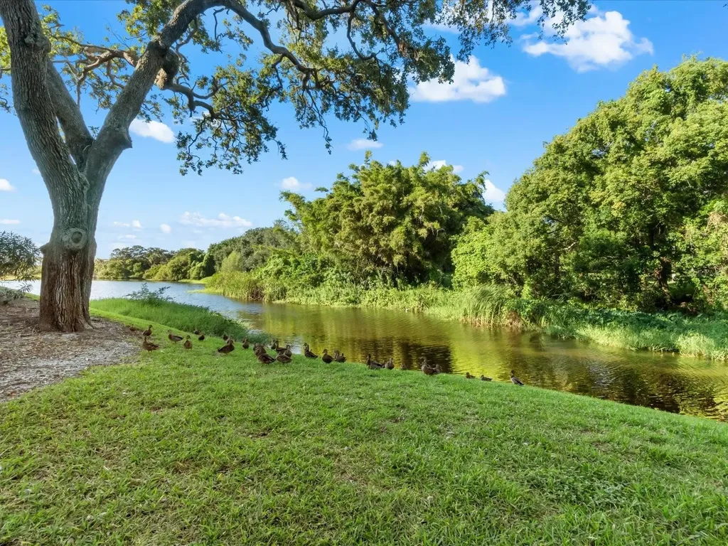 220 Belleview Boulevard Belleair FL 33756