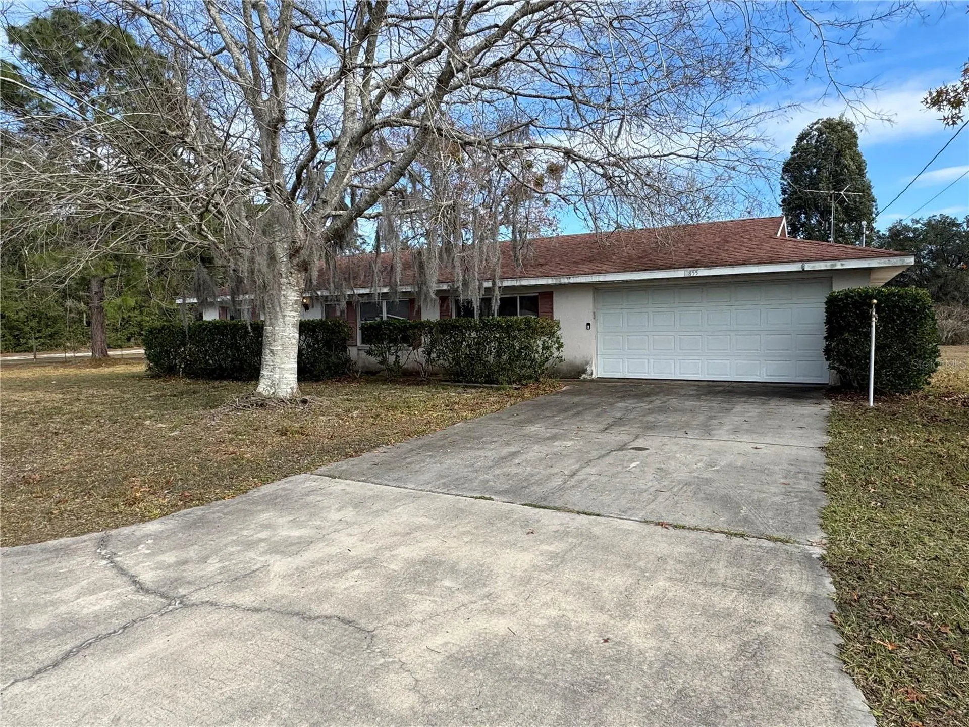 11855 SE 84th Terrace Belleview FL 34420