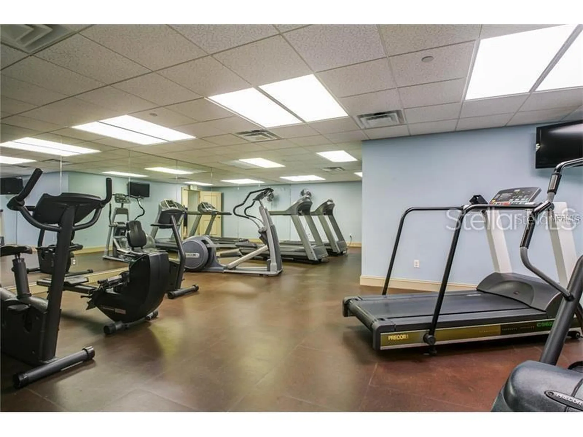 345 Bayshore Boulevard Tampa FL 33606