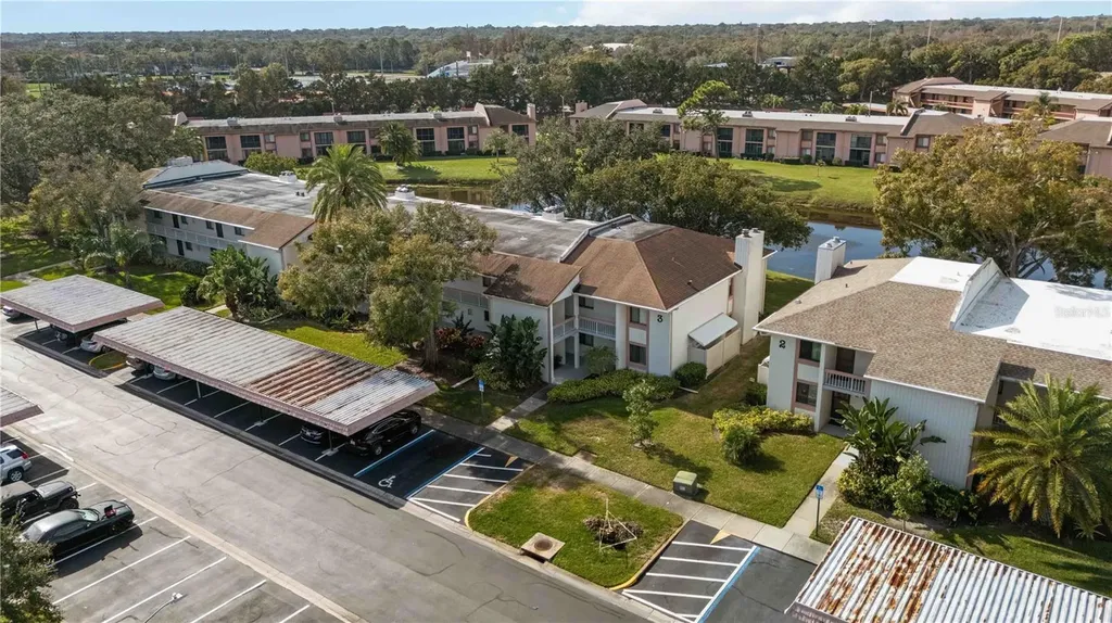 118 Lakeview Way Oldsmar FL 34677