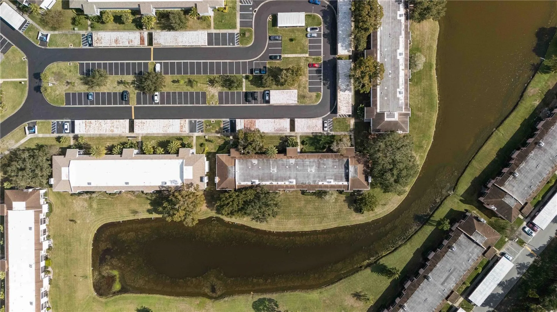 118 Lakeview Way Oldsmar FL 34677