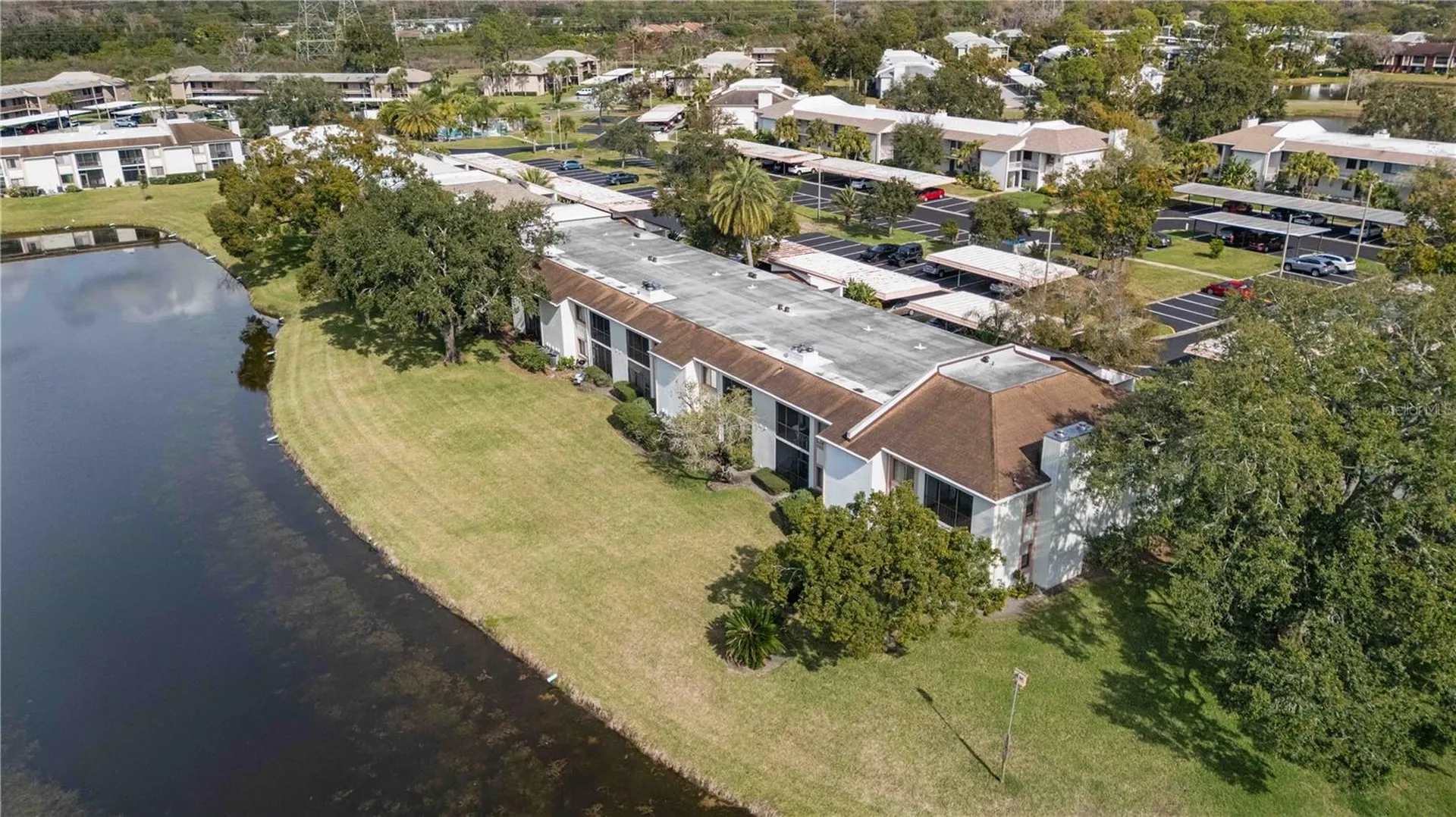 118 Lakeview Way Oldsmar FL 34677