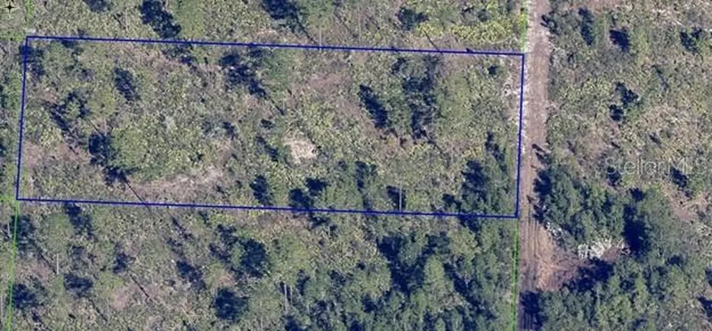 Dill Road Orlando FL 32820