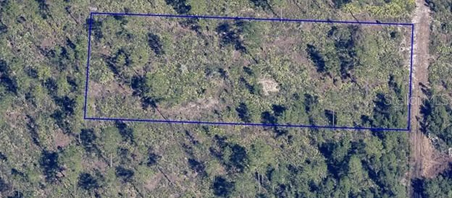 Dill Road Orlando FL 32820