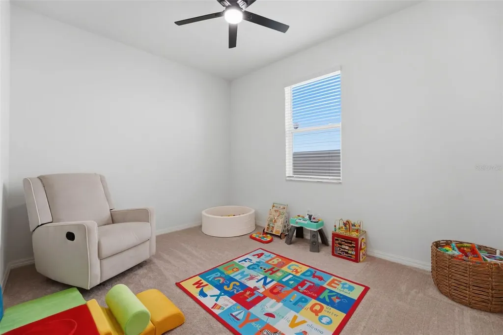 3010 Marine Grass Drive Wimauma FL 33598