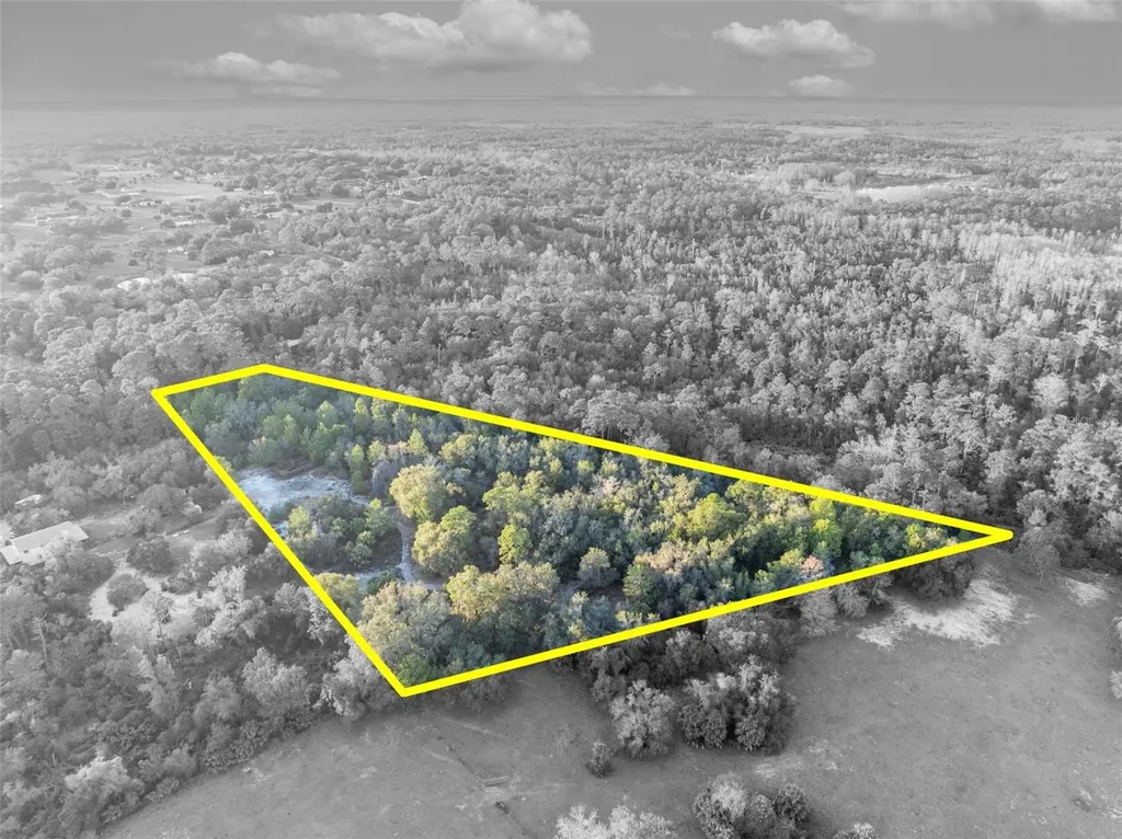 Willow Pond Lane Geneva FL 32732