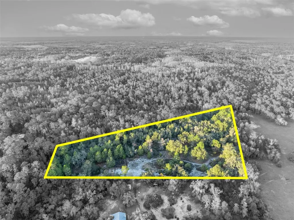 Willow Pond Lane Geneva FL 32732