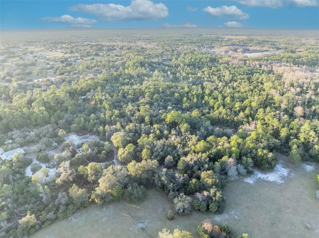 Willow Pond Lane Geneva FL 32732