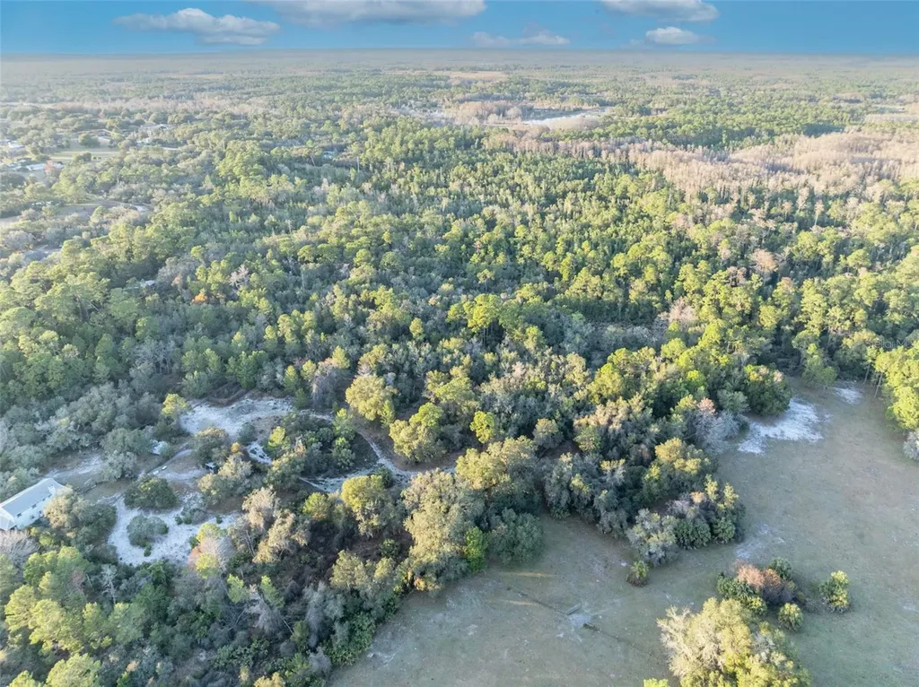 Willow Pond Lane Geneva FL 32732