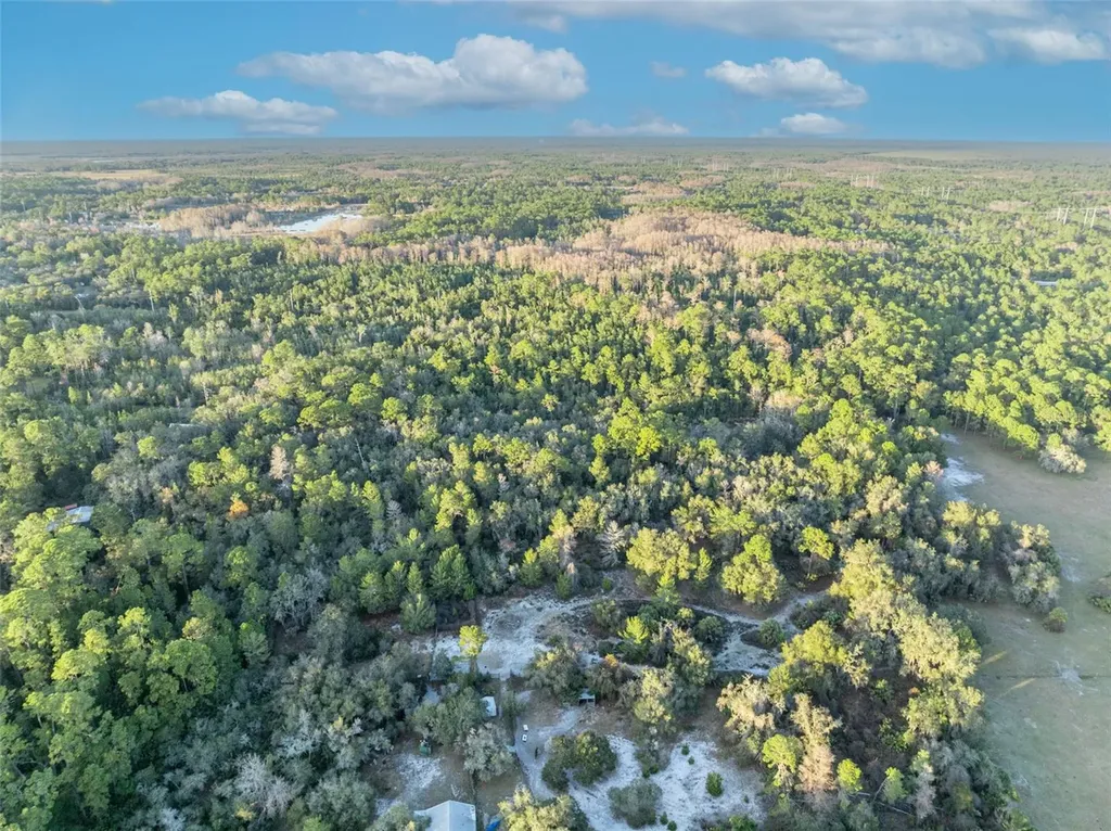 Willow Pond Lane Geneva FL 32732