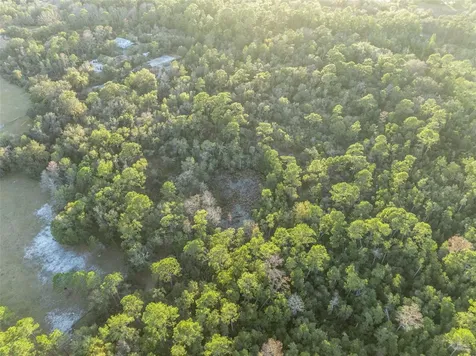 Willow Pond Lane Geneva FL 32732