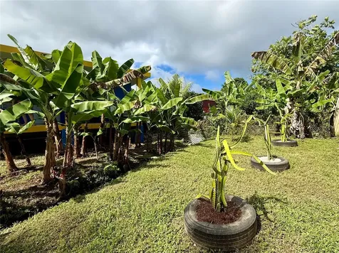 122 Calle Pomarrosa Fajardo PR 00738