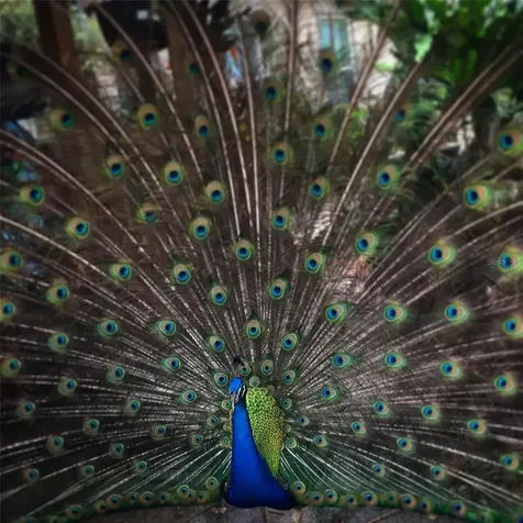 7970 Bannon Fish Camp Road Haines City FL 33844