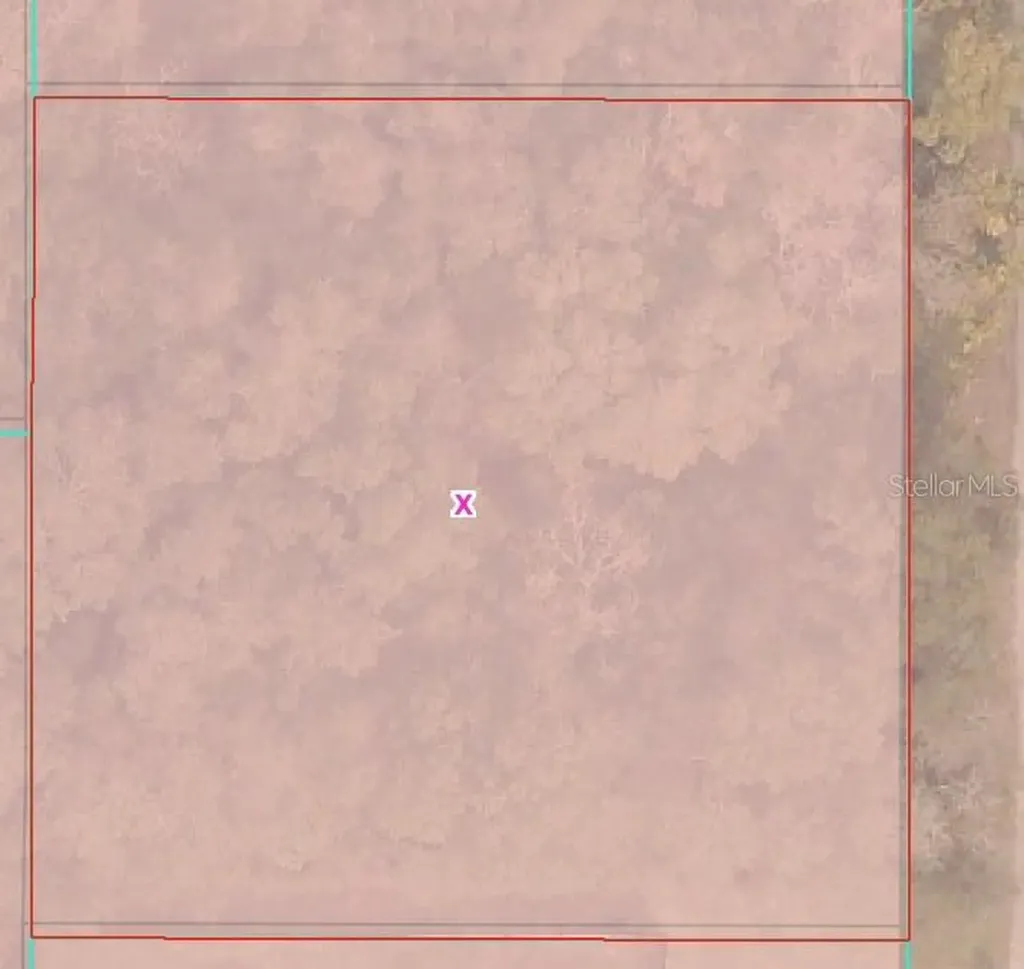 Tbd SE 94 Court Summerfield FL 34491