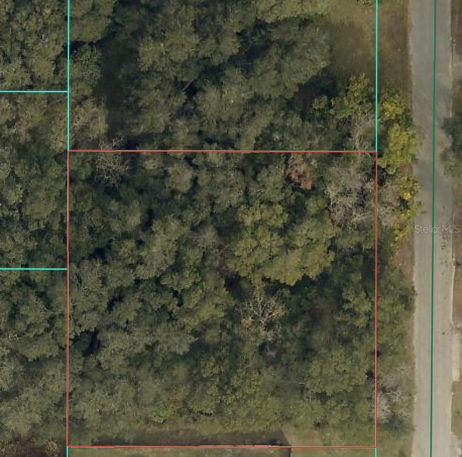 Tbd SE 94 Court Summerfield FL 34491