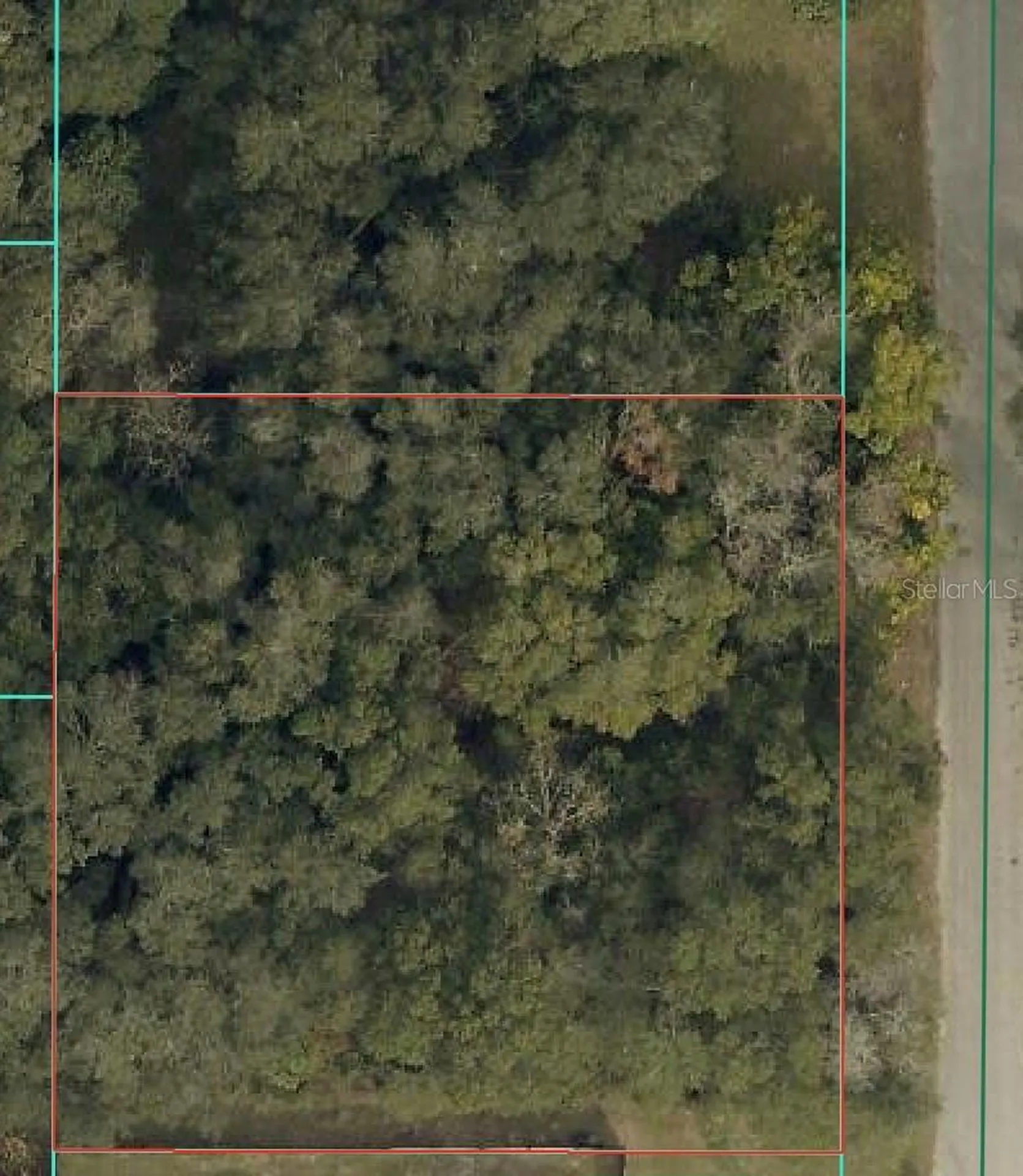 Tbd SE 94 Court Summerfield FL 34491