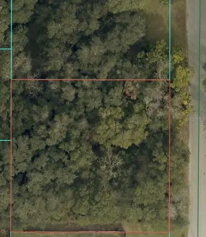 Tbd SE 94 Court Summerfield FL 34491