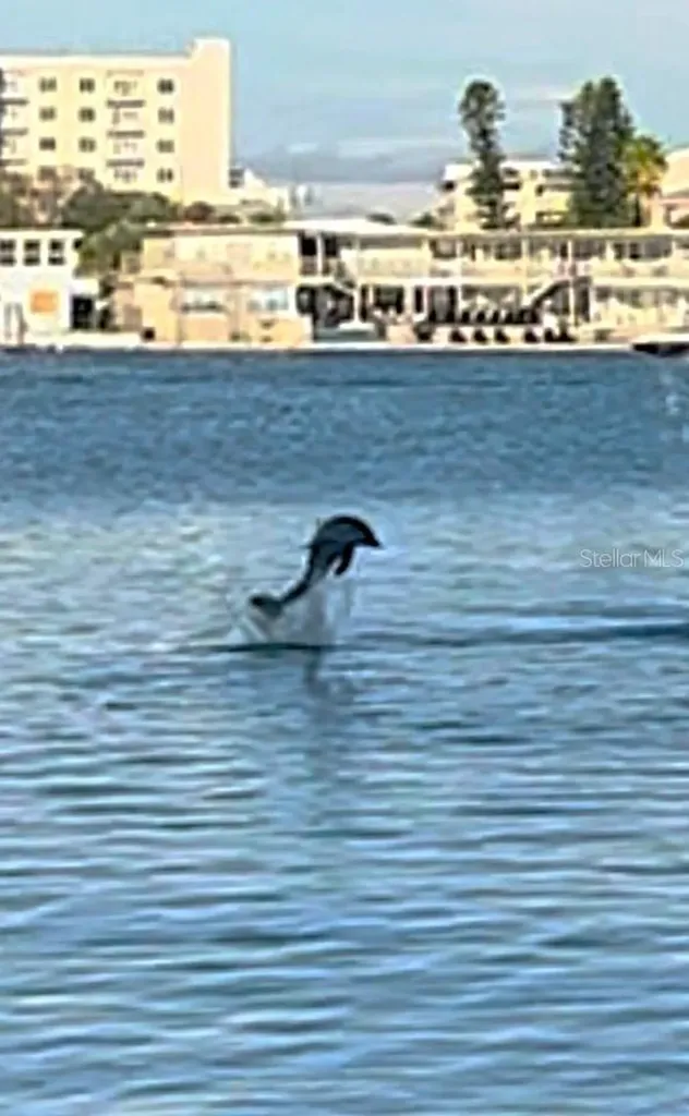 644 Island Way Clearwater Beach FL 33767