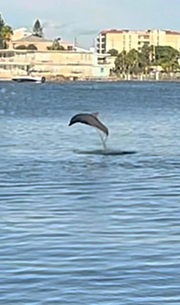 644 Island Way Clearwater Beach FL 33767