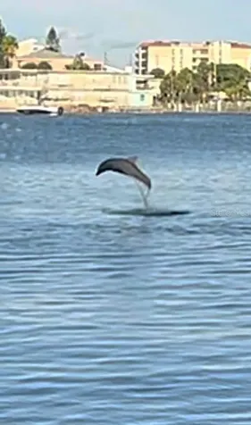 644 Island Way Clearwater Beach FL 33767