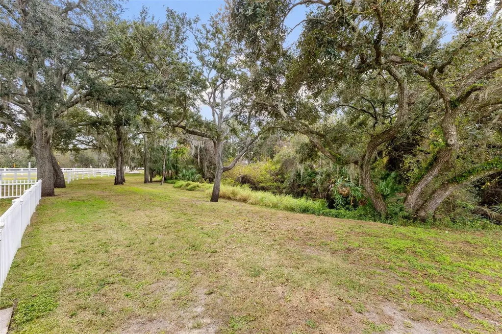 12305 Twin Branch Acres Road Tampa FL 33626