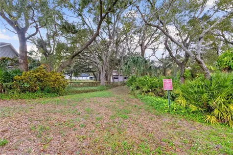 12305 Twin Branch Acres Road Tampa FL 33626