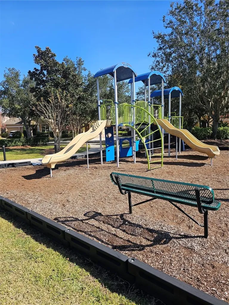6442 Golden Dewdrop Trail Windermere FL 34786