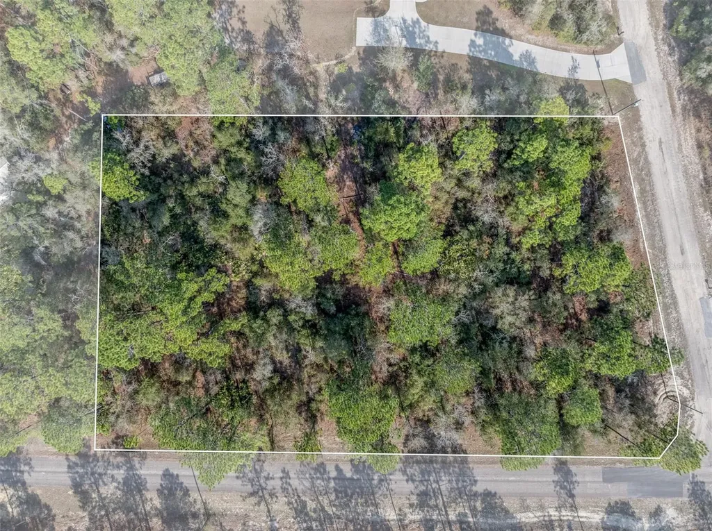7082 N Treehaven Terrace Citrus Springs FL 34433