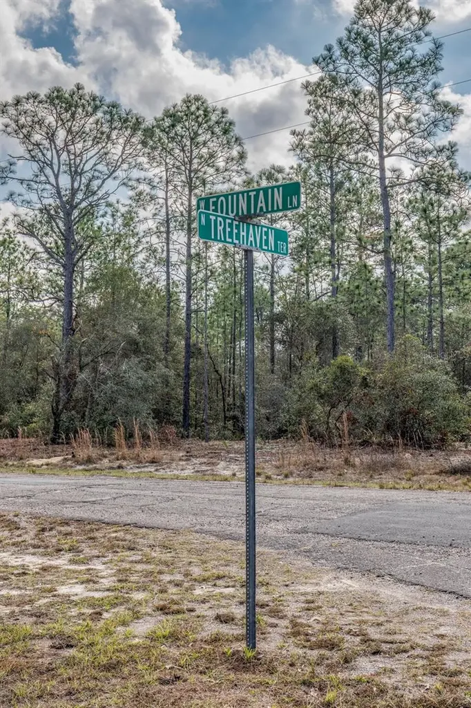 7082 N Treehaven Terrace Citrus Springs FL 34433