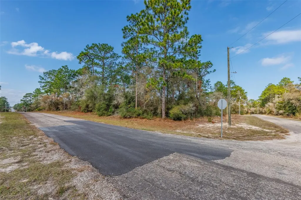 7082 N Treehaven Terrace Citrus Springs FL 34433