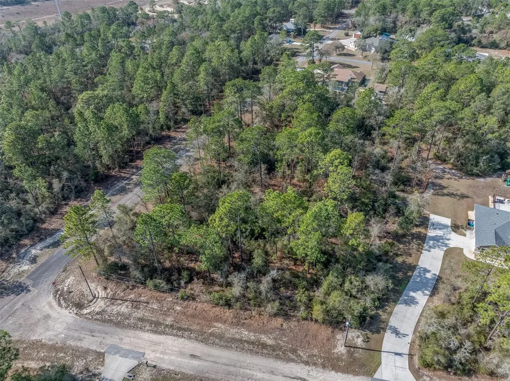 7082 N Treehaven Terrace Citrus Springs FL 34433