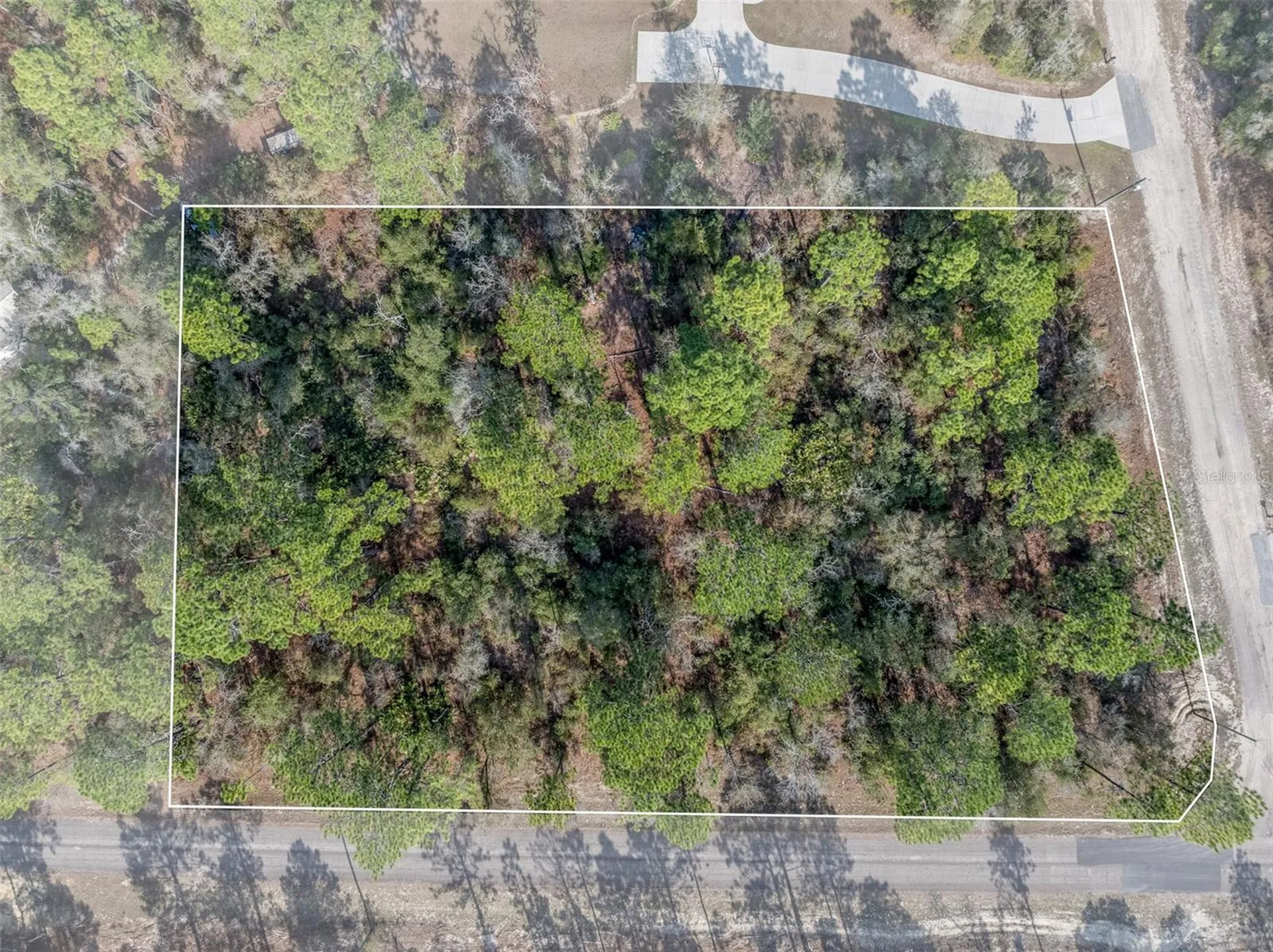 7082 N Treehaven Terrace Citrus Springs FL 34433