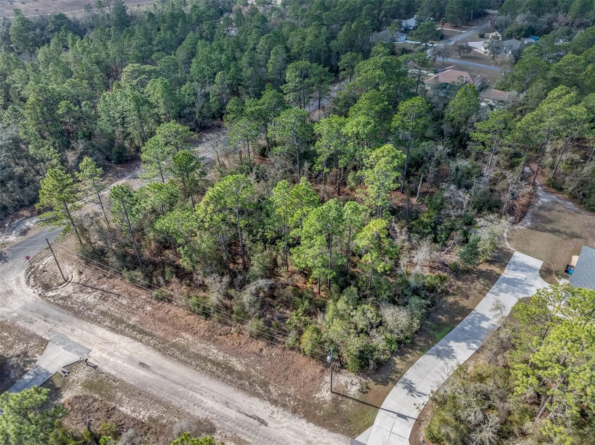 7082 N Treehaven Terrace Citrus Springs FL 34433